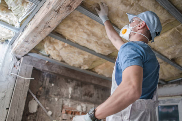 Best Types of Insulation in Howe, TX